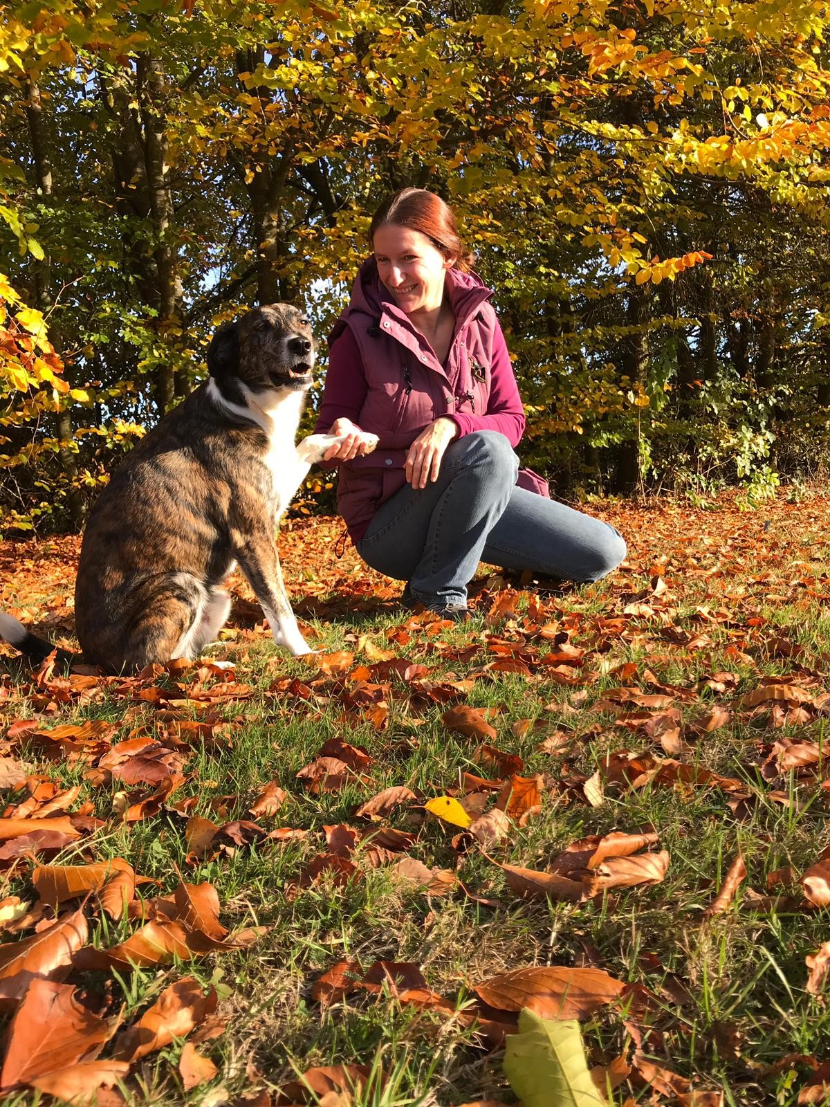 Hundeschule Querfelldein Startseite